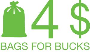 2025 Bags 4 Bucks Fundraiser Application