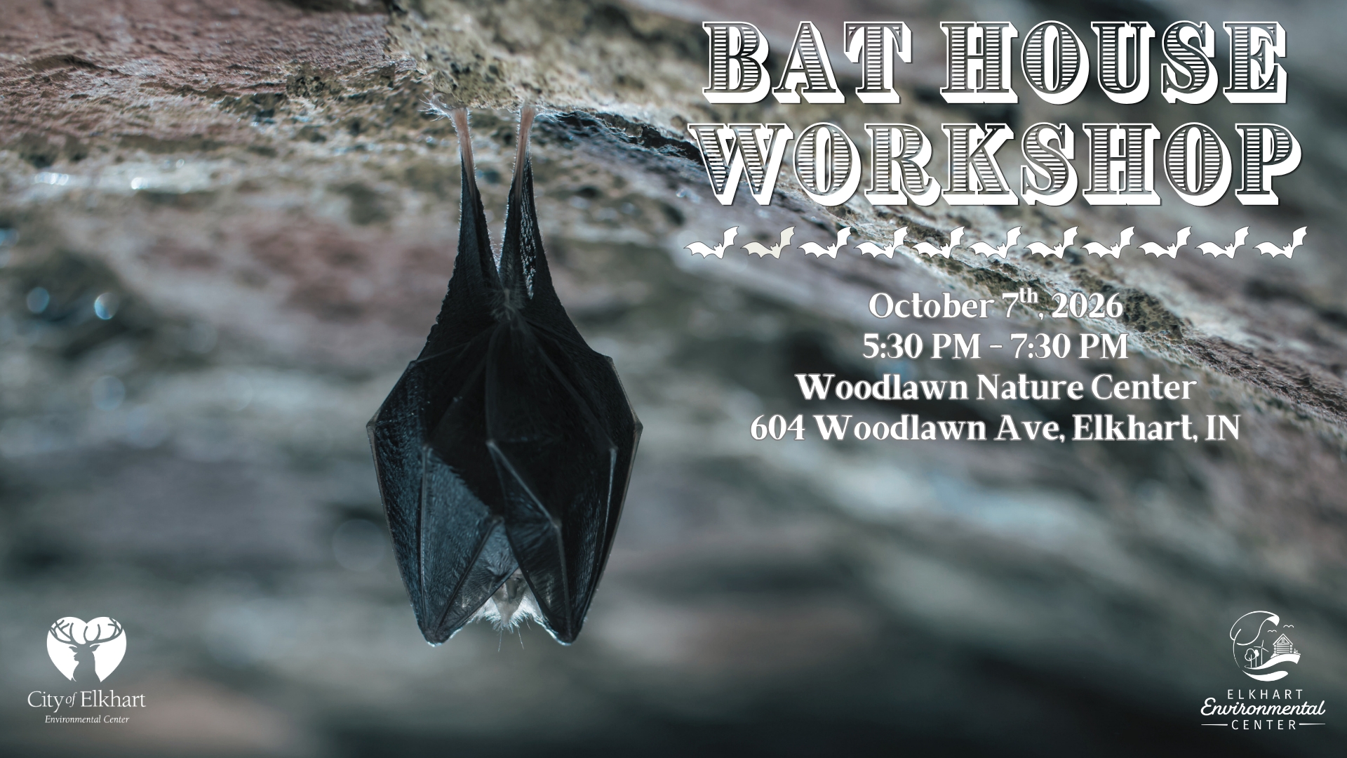 Bat House Workshop at Woodlawn