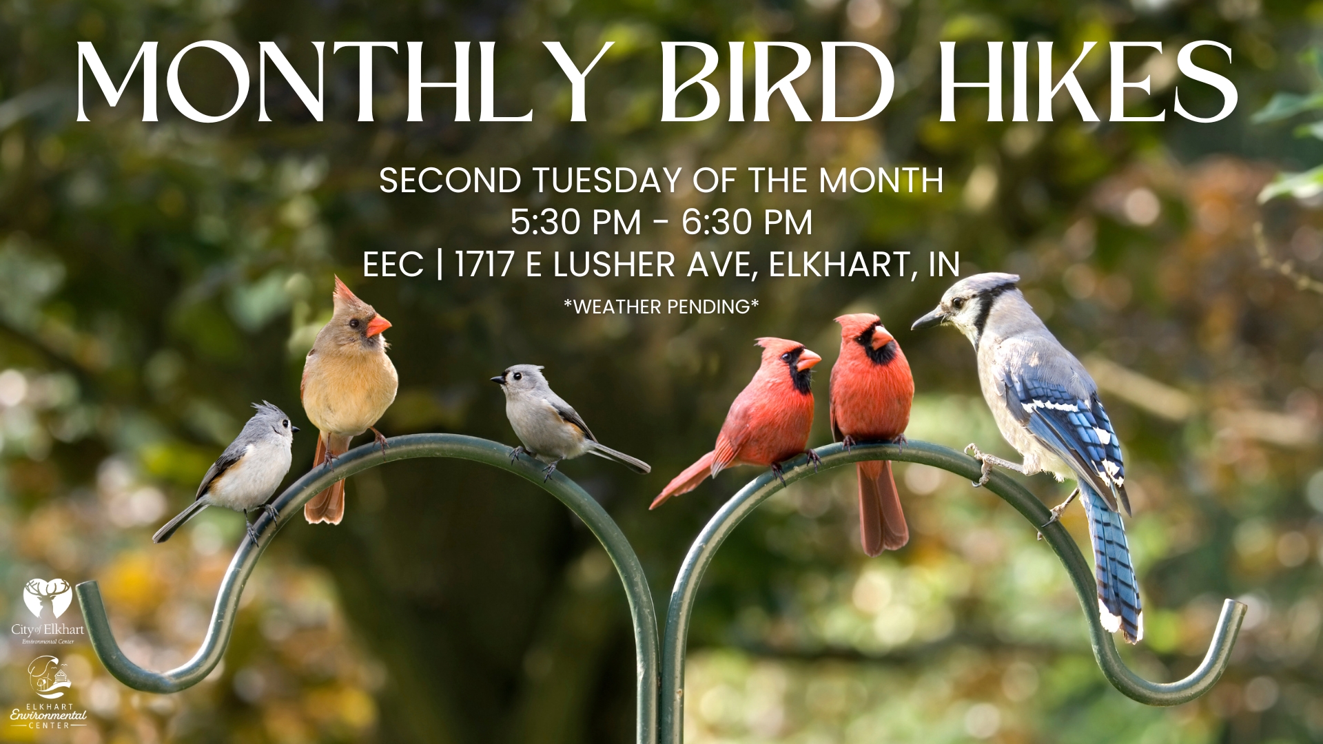 Monthly Bird Hikes