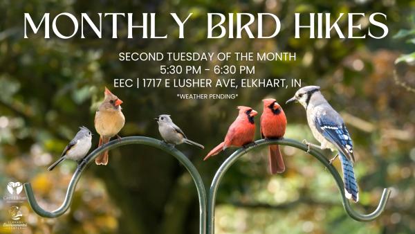 Monthly Bird Hikes