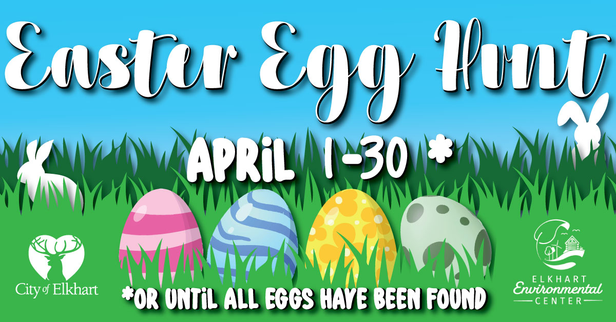 Egg Hunt!