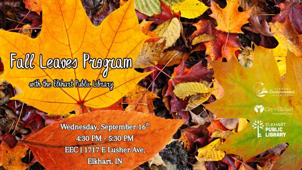 Fall Leaves Program