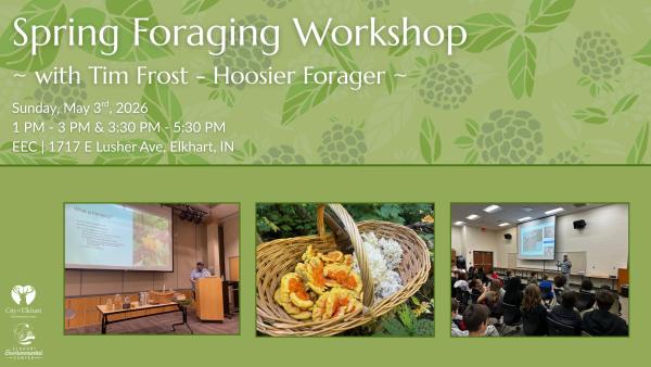 Spring Foraging Workshop