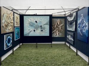 FINE ARTISTS  EXHIBITOR
