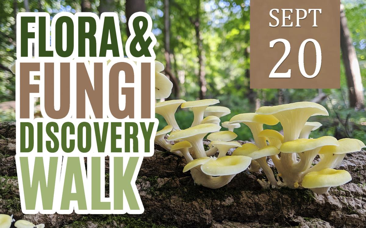 Flora & Fungi Discovery Walk cover picture
