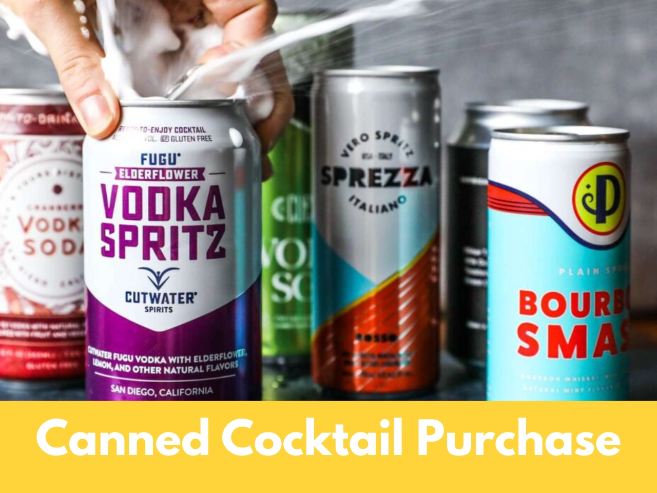 Canned Cocktails cover picture