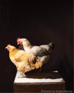 CALL FOR ENTRIES: "PetCon" pet-themed group show opens August 1st, 2025