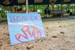 Fall 2025 Healing Arts Application