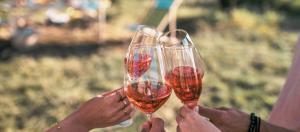 Alcohol Vendor Application