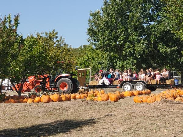 5G Farm Pumpkin Patch