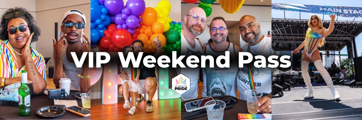 Festival VIP Experience: Weekend Pass cover picture