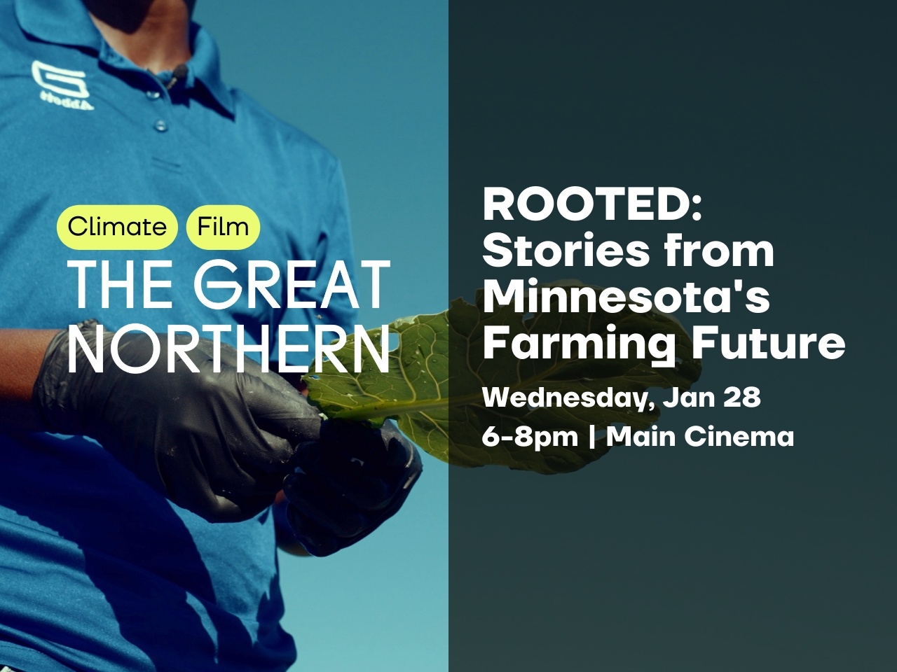 Rooted: Stories from Minnesota's Farming Future cover picture