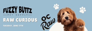 RAW Curious Seminar