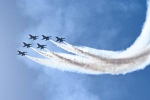 Aaron Bessant Park Food Vendor Application