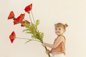 Childrens Ticket (under 12) cover picture