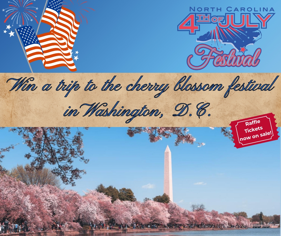 Cherry Blossom Festival cover picture
