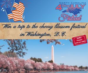 Cherry Blossom Festival cover picture