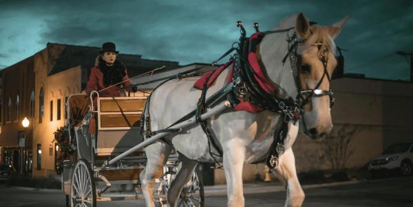 Holiday Carriage Rides December 18 & 19