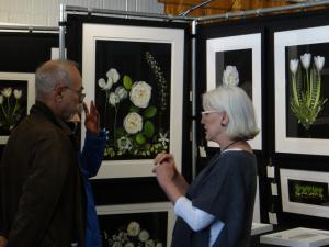 Art Vendors