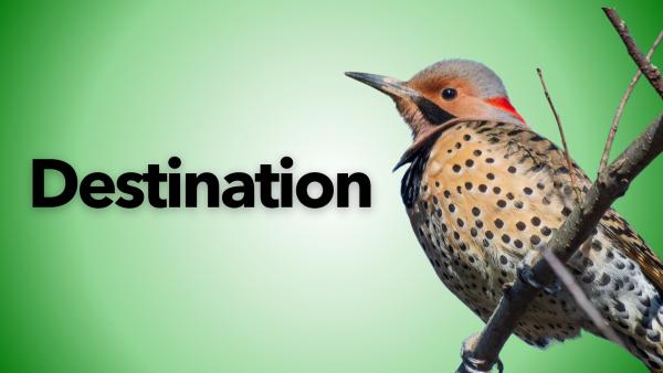 highlight image