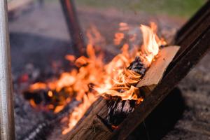 Pig Pickin' & Oyster Roast cover picture