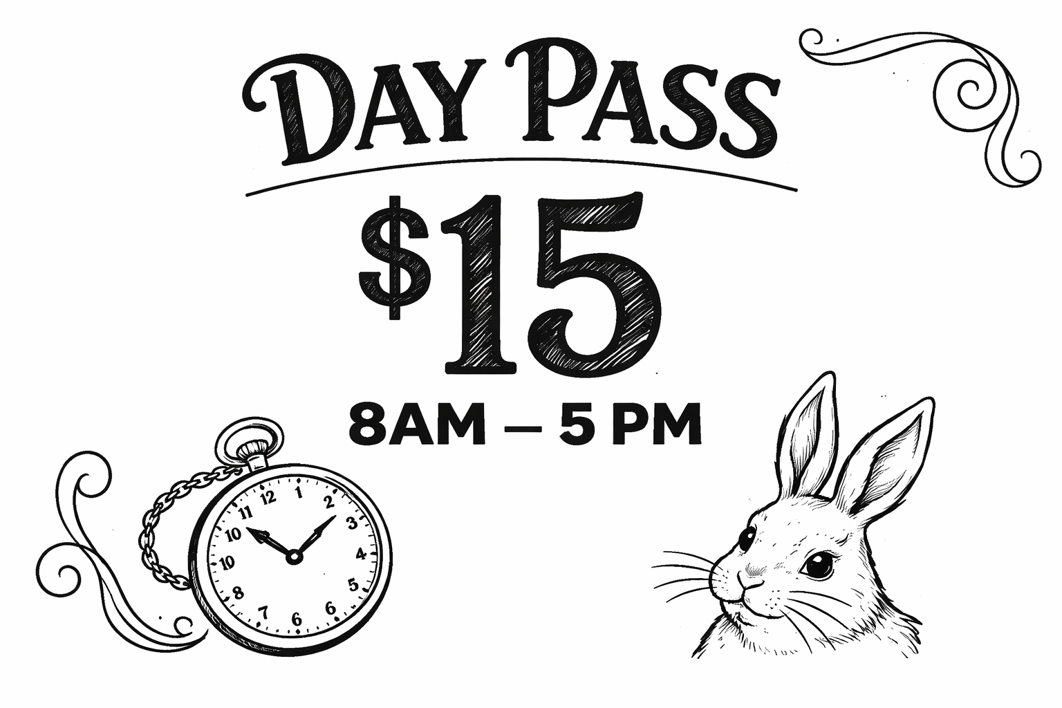 DAY PASS $15 cover picture