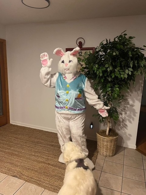 Easter Bunny
