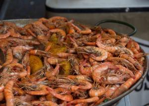 2025 Food Vendors