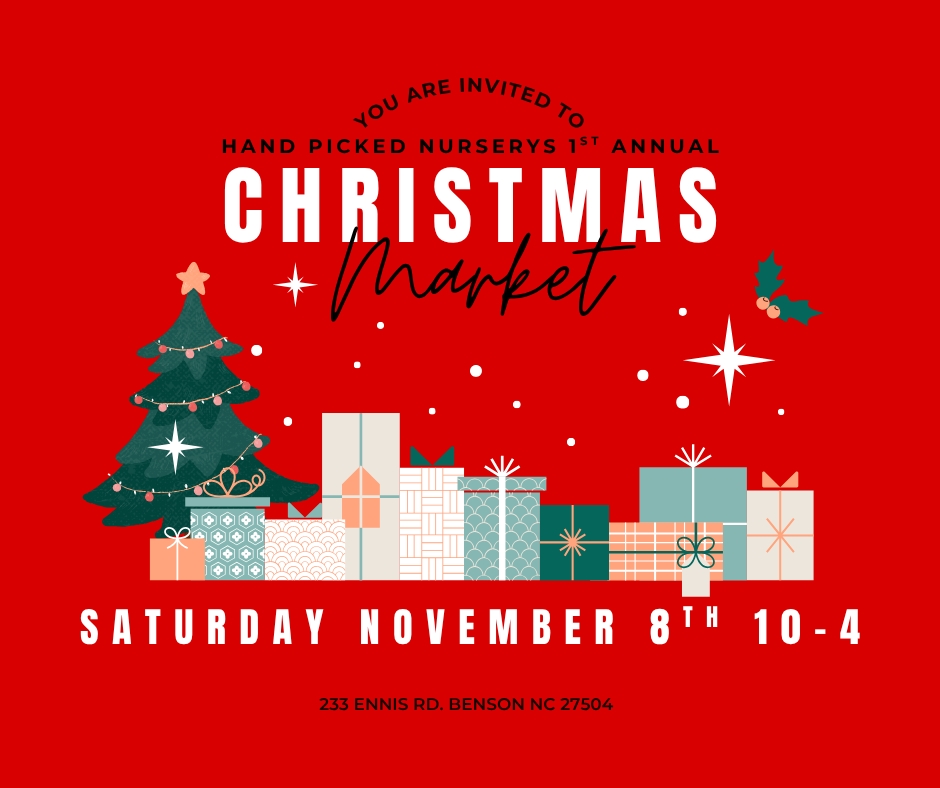 Christmas Market at Hand Picked Nursery