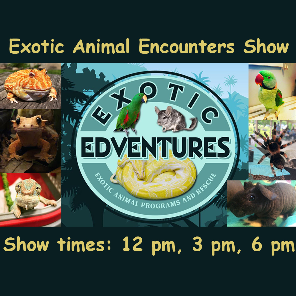 Exotic Animal Encounters Show 12 pm Showtime cover picture