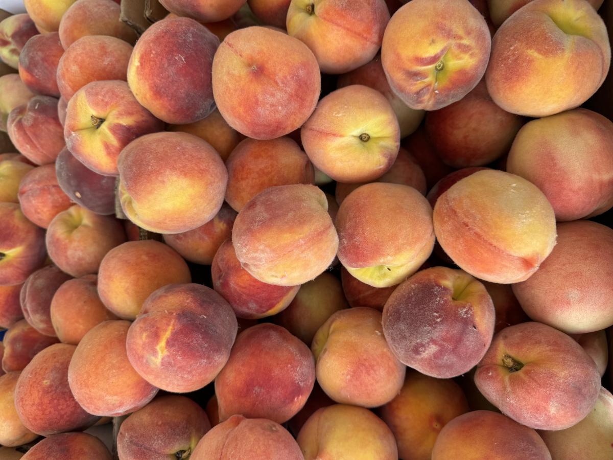 Vail Farmers Market & Art Show