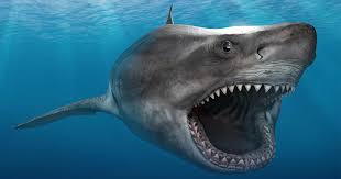 Megalodon | $125,000