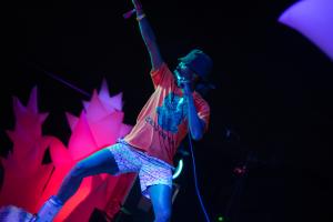 2026 Queer Fire Showcase Application