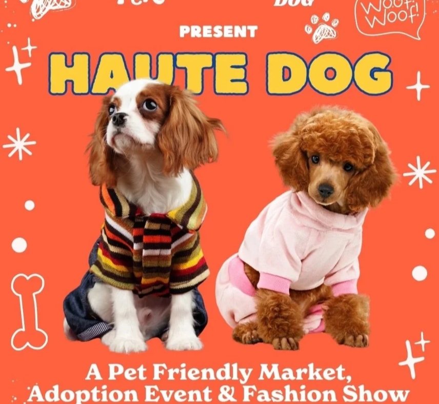 Puppy Yoga Class at Haute Dog 2026