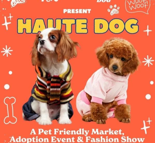 Puppy Yoga Class at Haute Dog 2026