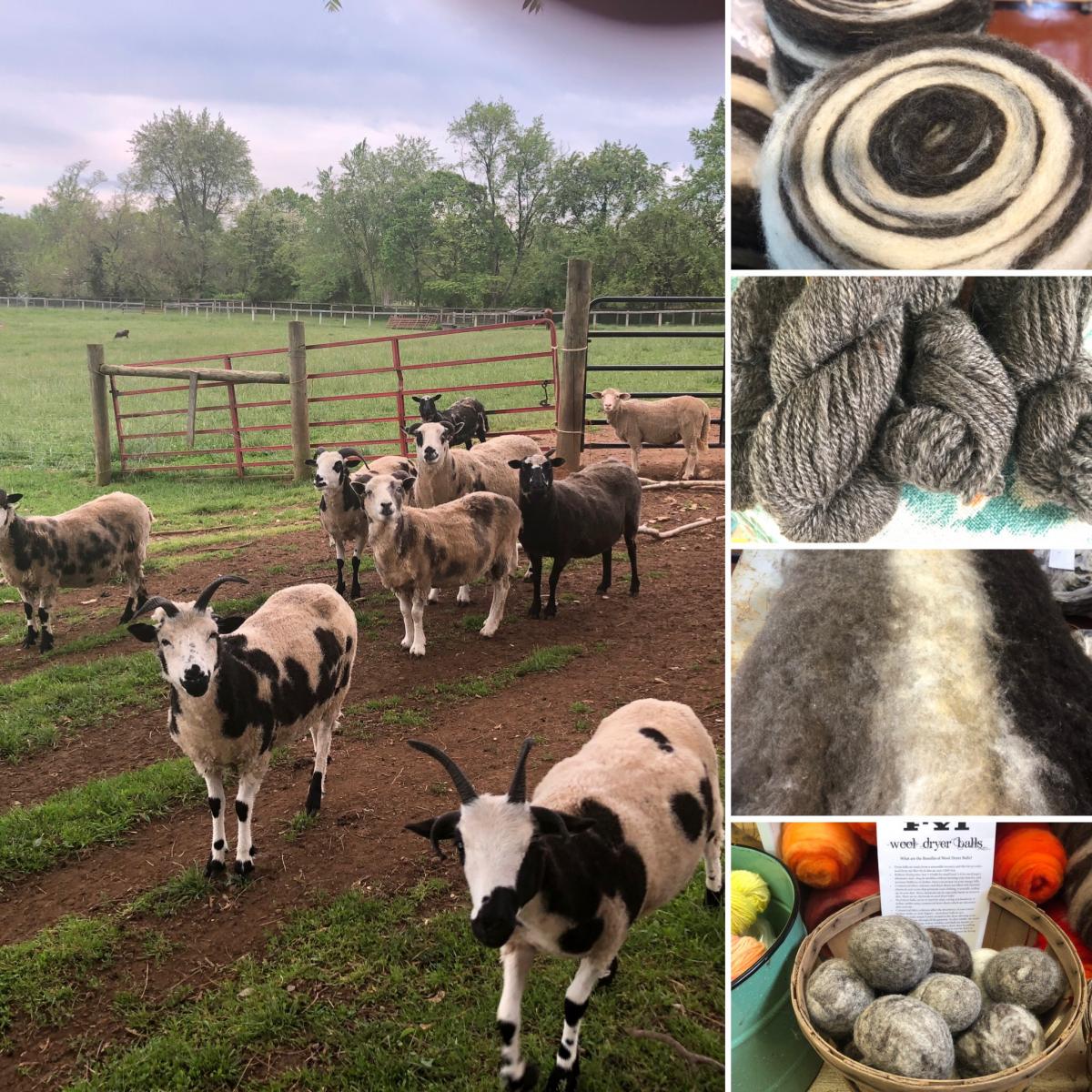 2022 Shenandoah Valley Fiber Festival