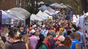 2026 Brookhaven Cherry Blossom Festival Artist Application