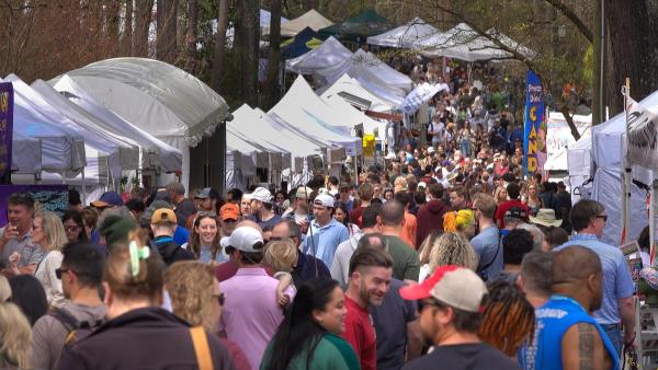 2026 Brookhaven Cherry Blossom Festival Artist Application