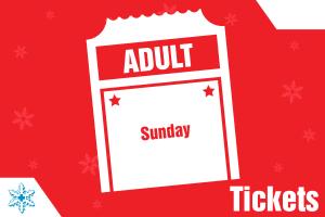 Sunday Adult cover picture