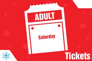 Saturday Adult cover picture