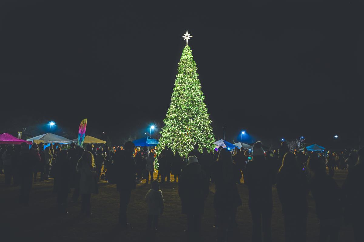 Tree Lighting