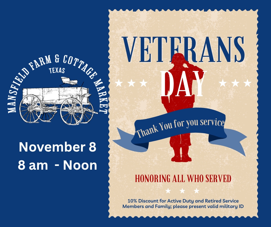 Veterans Day Observance