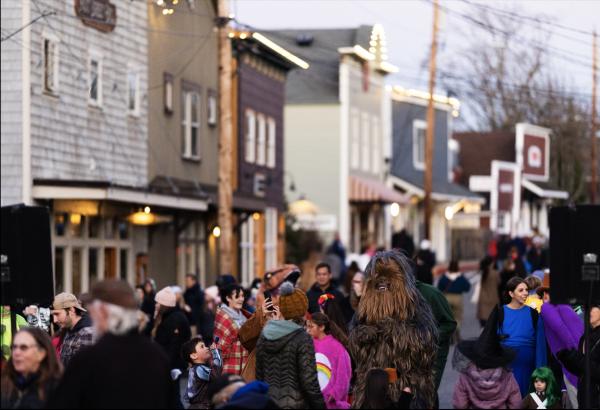 Torchlight Parade/Street Dance Business/Non-Profit  Table Application