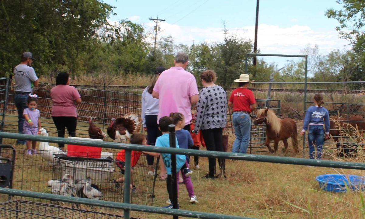 petting zoo