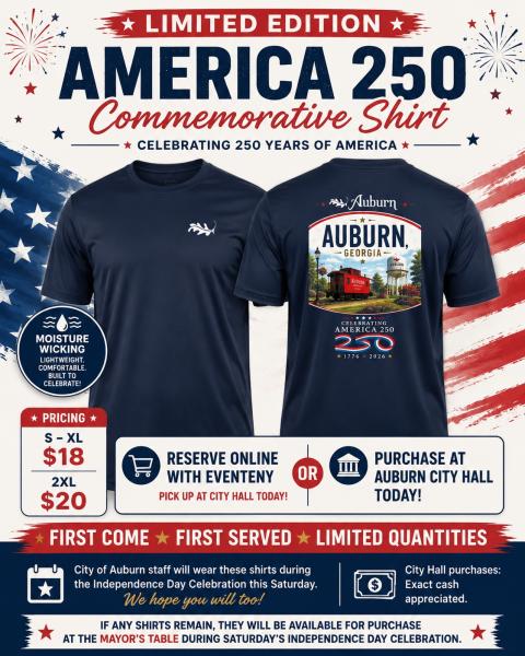 America's 250th Anniversary T-Shirt