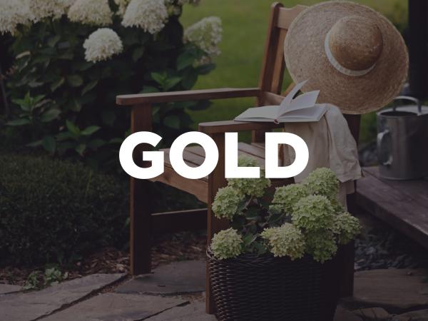Gold Sponsor Gold Sponsor