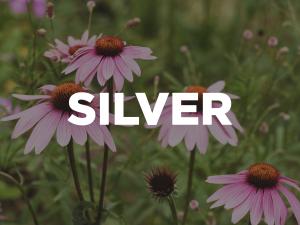 Silver Sponsor
