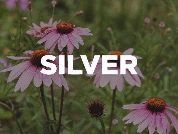 Silver Sponsor Silver Sponsor