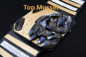 Top Mussel - $25K