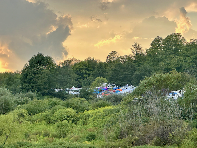Great Blue Heron Music Festival 2027